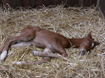 D&uuml;rer am ersten Tag
