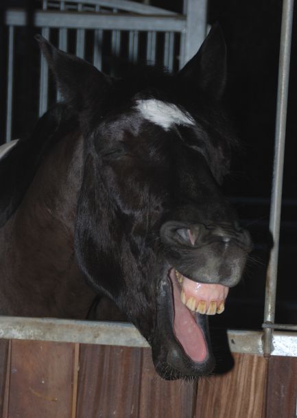 Carlos etwas m&uuml;de