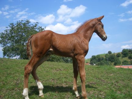 D&uuml;rer 2 Wochen alt