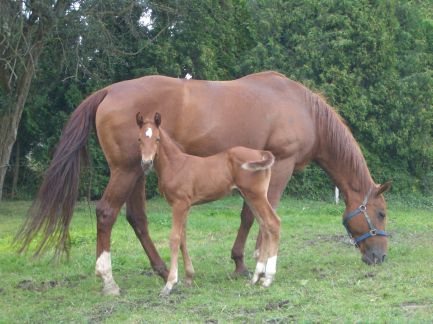D&uuml;rer 10 Tage alt mit Mutter